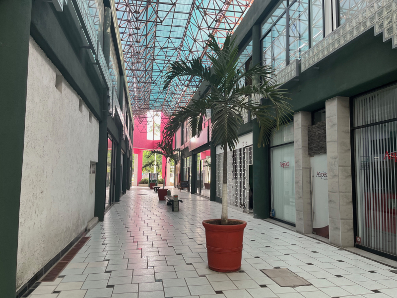 Local Comercial En Renta En Vallarta Poniente