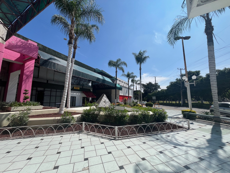 Local Comercial En Renta En Vallarta Poniente