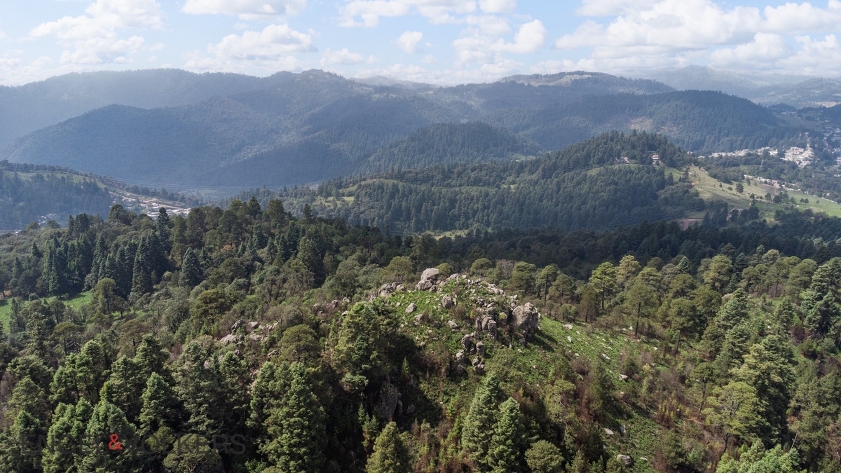 Venta de Terreno para Inversión | El Tule – 125 Hectáreas