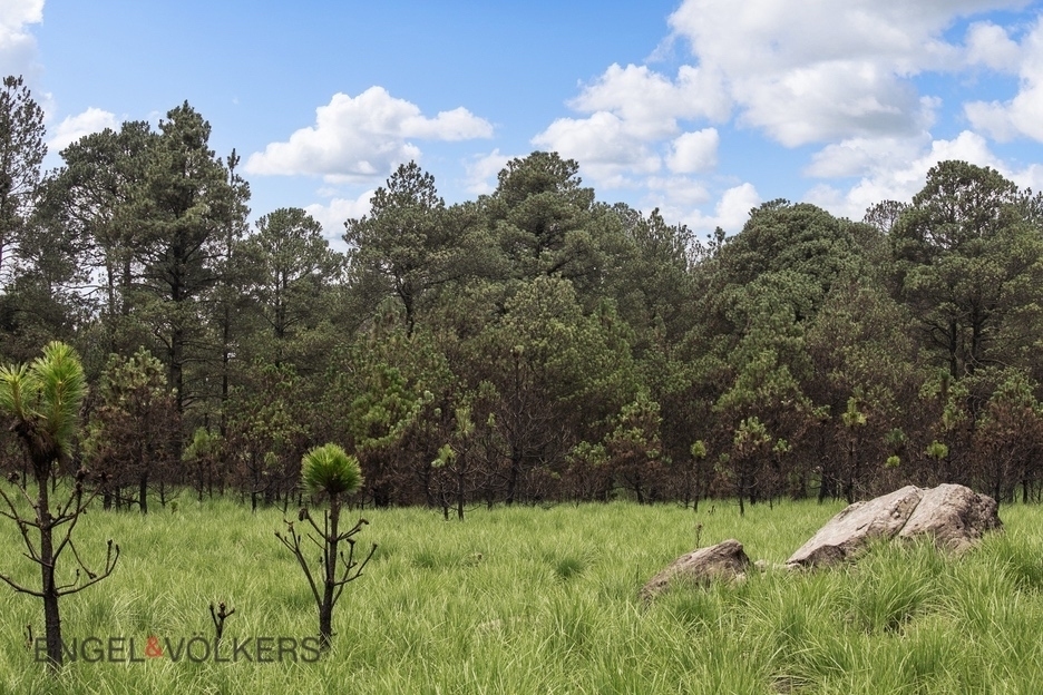 Venta De Terreno Para Inversión | El Tule �?? 125 Hectáreas