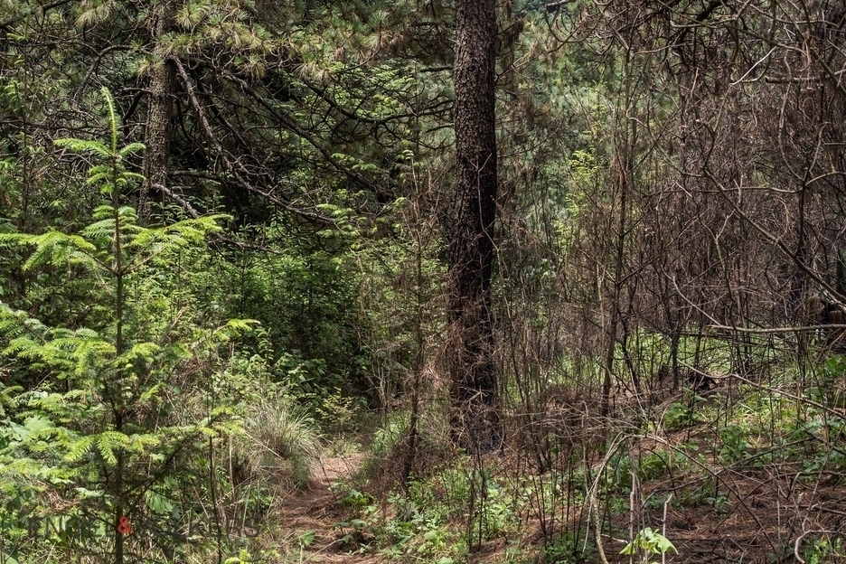 Venta De Terreno Para Inversión | El Tule �?? 125 Hectáreas