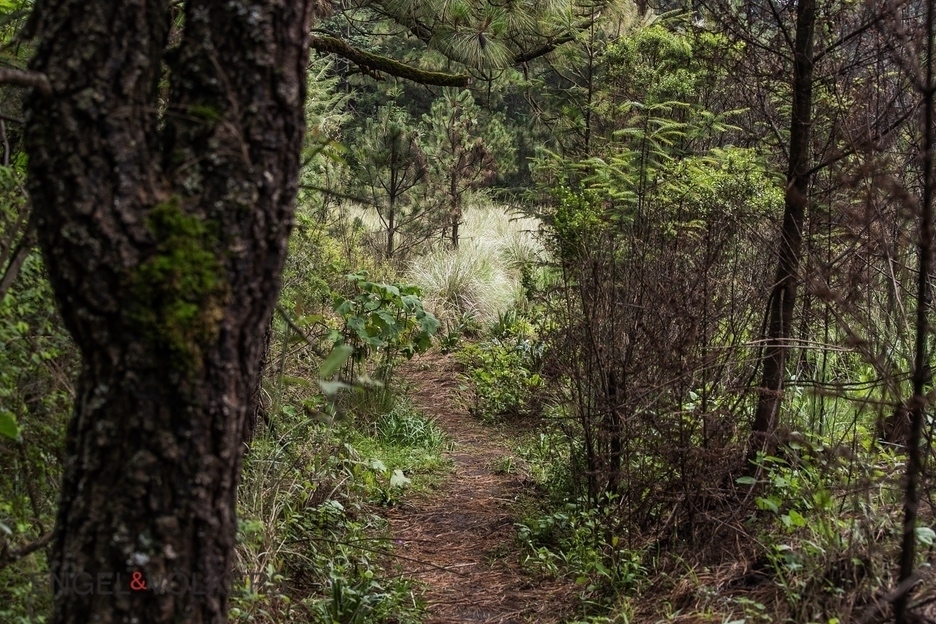 Venta De Terreno Para Inversión | El Tule �?? 125 Hectáreas