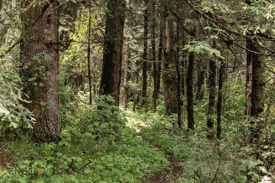 Venta De Terreno Para Inversión | El Tule �?? 125 Hectáreas