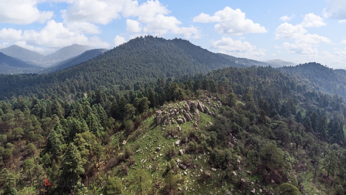 Venta De Terreno Para Inversión | El Tule �?? 125 Hectáreas