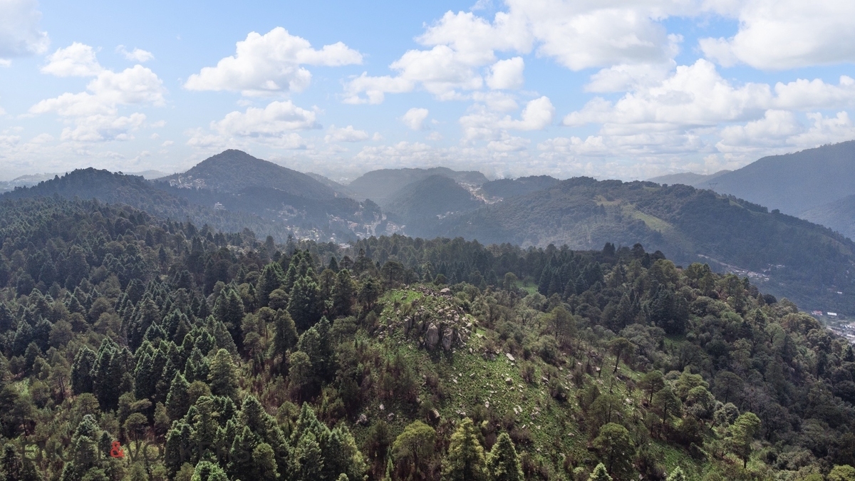 Venta De Terreno Para Inversión | El Tule �?? 125 Hectáreas