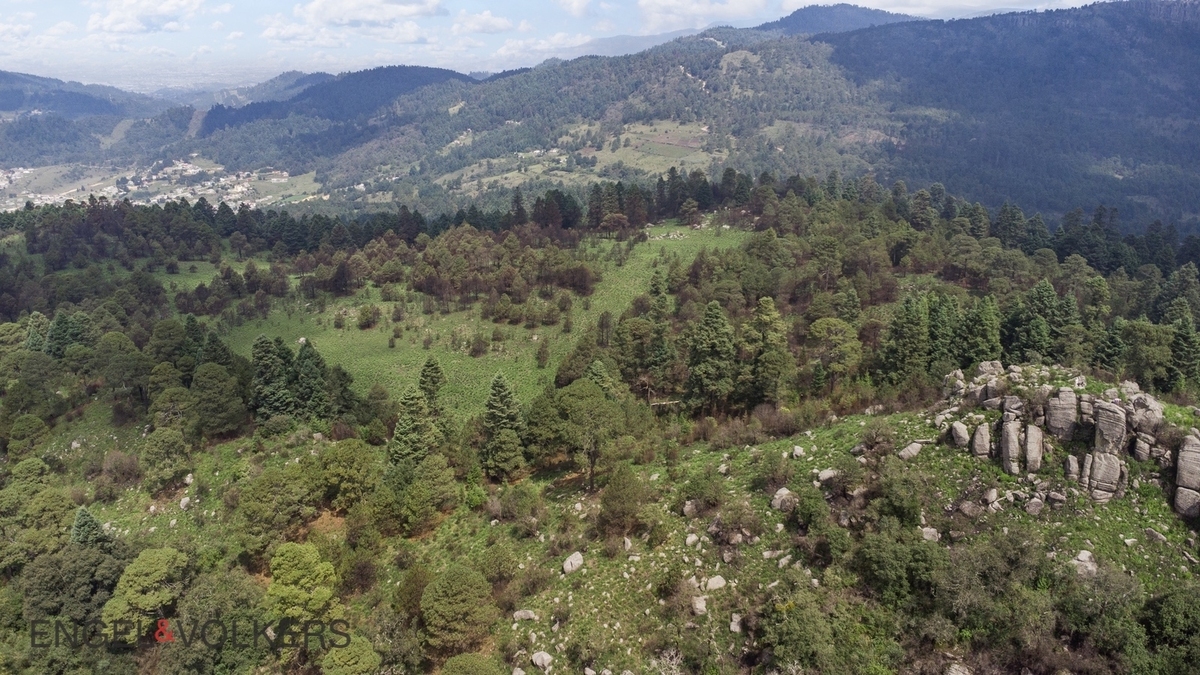 Venta De Terreno Para Inversión | El Tule �?? 125 Hectáreas