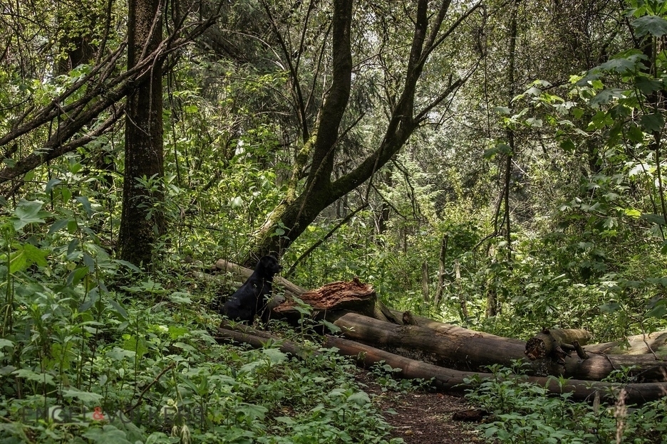 Venta De Terreno Para Inversión | El Tule �?? 125 Hectáreas