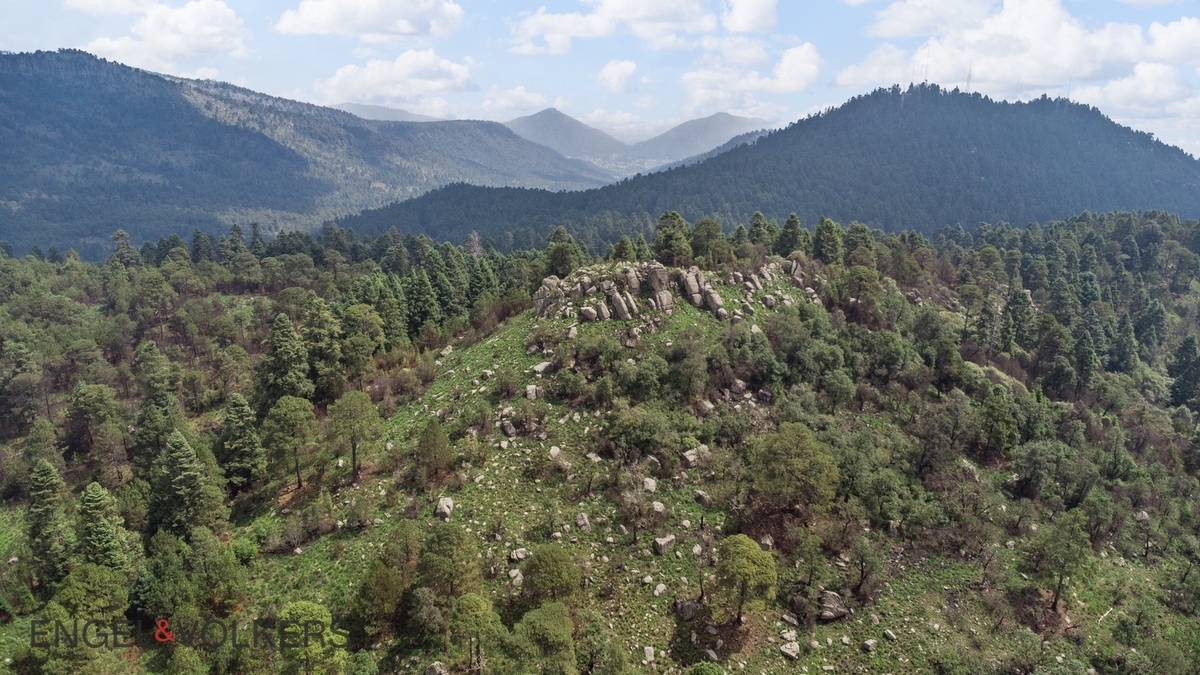 Venta De Terreno Para Inversión | El Tule �?? 125 Hectáreas