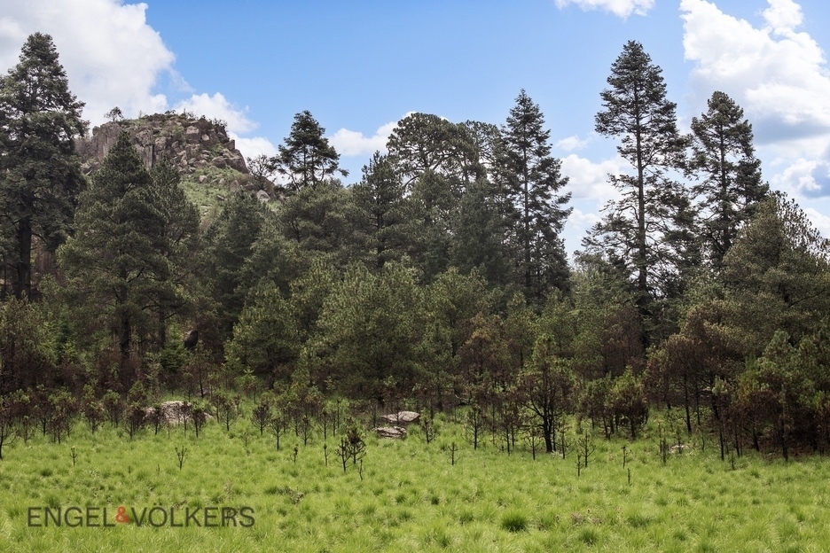 Venta De Terreno Para Inversión | El Tule �?? 125 Hectáreas