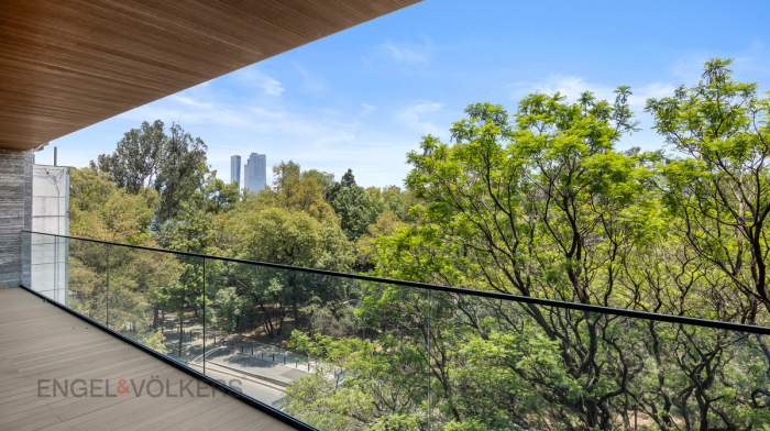 VENTA DE DEPARTAMENTO DE LUJO, Polanco, RUBEN DARIO 225,  PISO 4, 