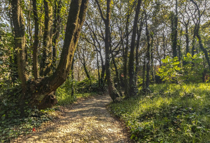 CASA EN VENTA EN TLALPUENTE