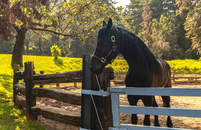 CASA EN VENTA EN TLALPUENTE