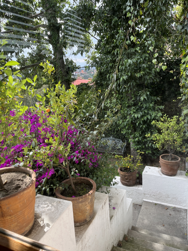 Casa En Condominio En Venta En Bosque De Las Lomas