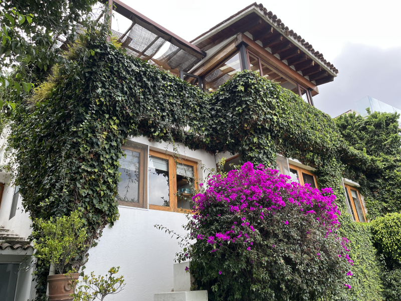 Casa En Condominio En Venta En Bosque De Las Lomas