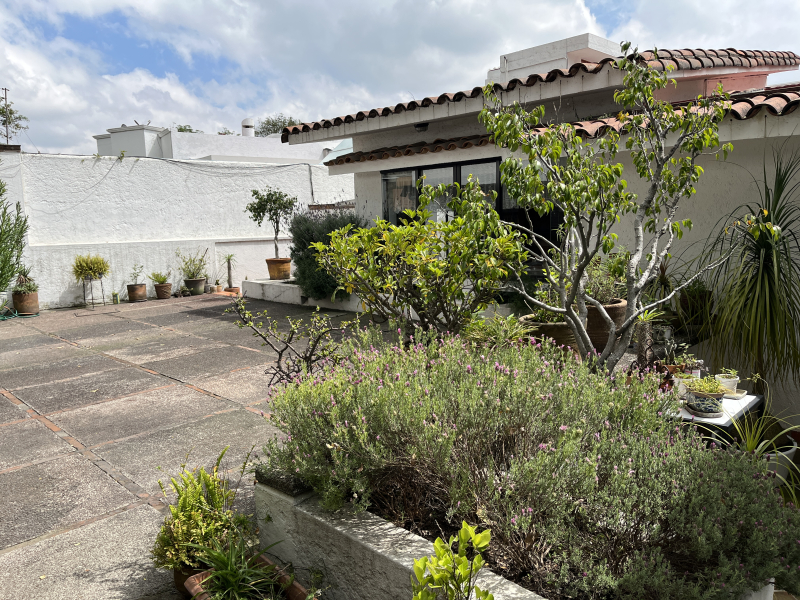 Casa En Condominio En Venta En Bosque De Las Lomas