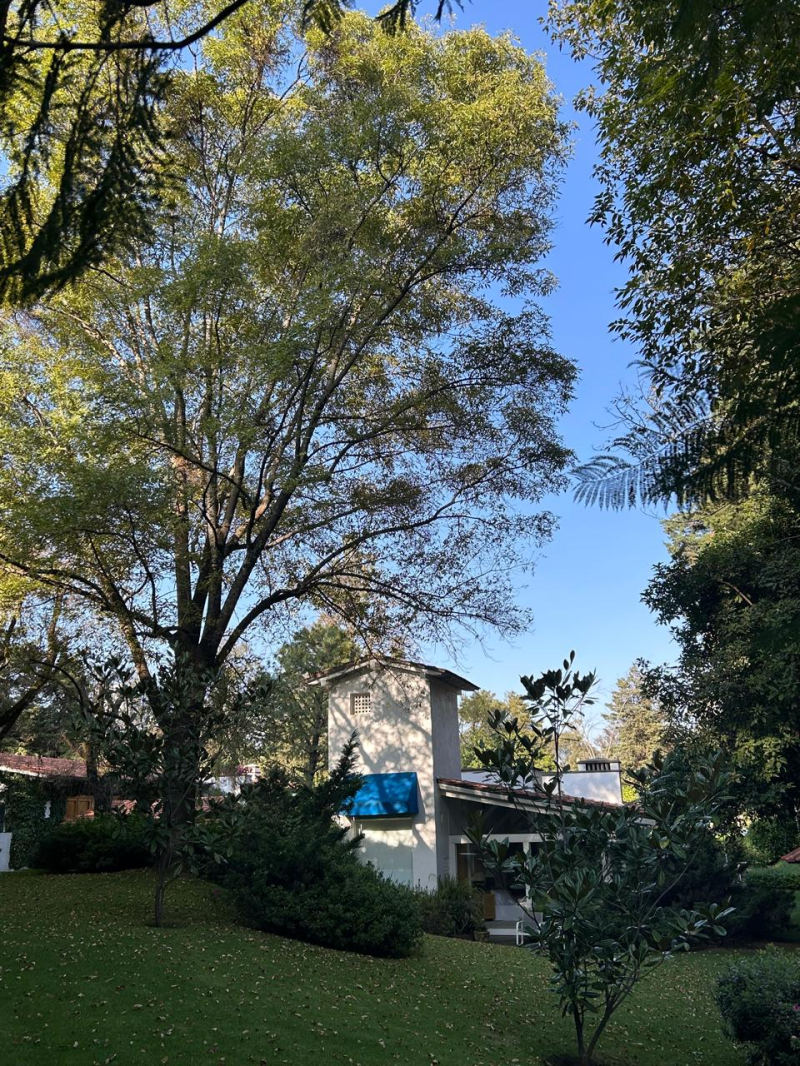 Casa En Condominio En Venta En Los Cedros