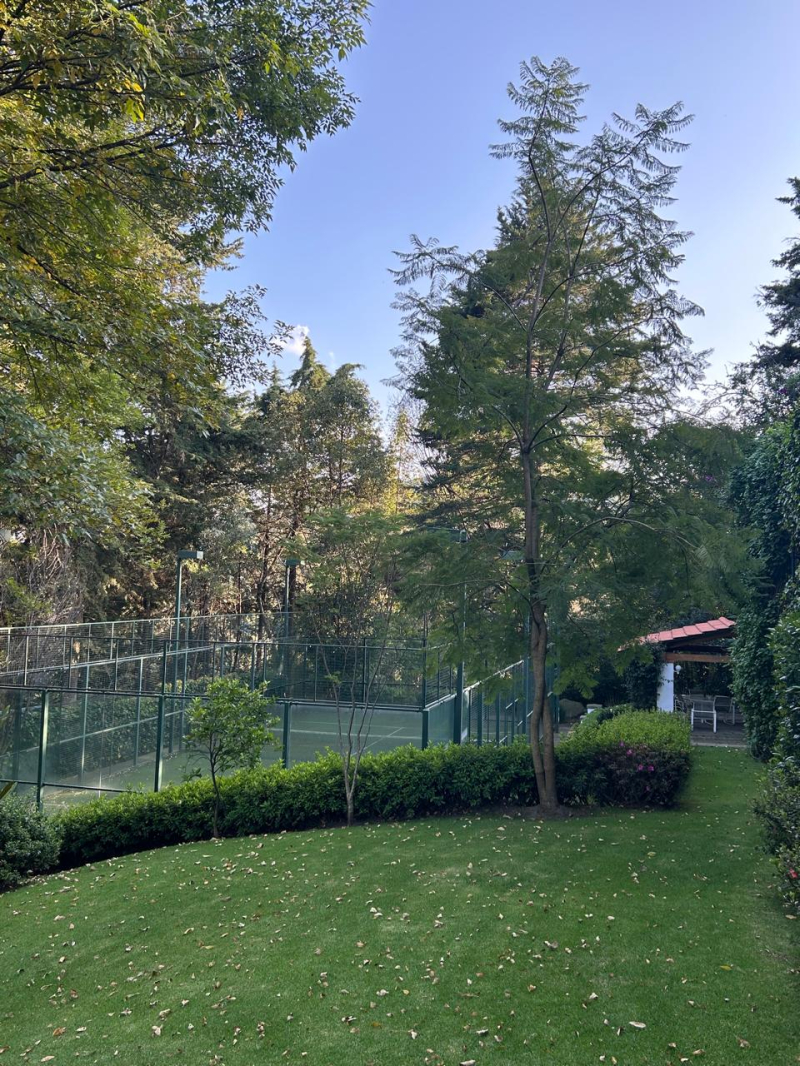 Casa En Condominio En Venta En Los Cedros