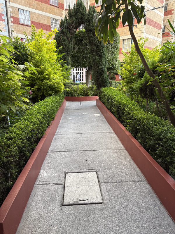 Departamento En Renta En San Pedro De Los Pinos