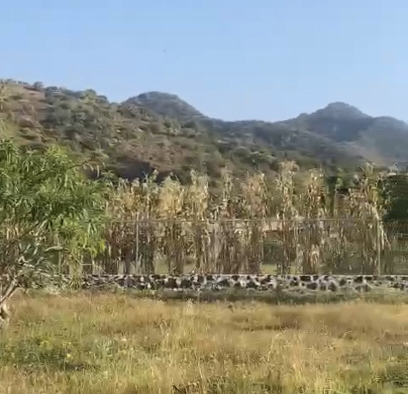 Terreno En Venta �?? A 10 Minutos Del Centro De Malinalco