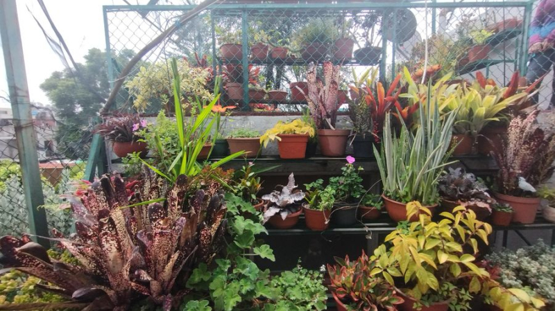 Casa En Venta En Jardines De Coyoacan