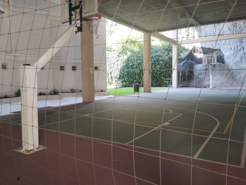 departamento en venta en ampliación palo solo