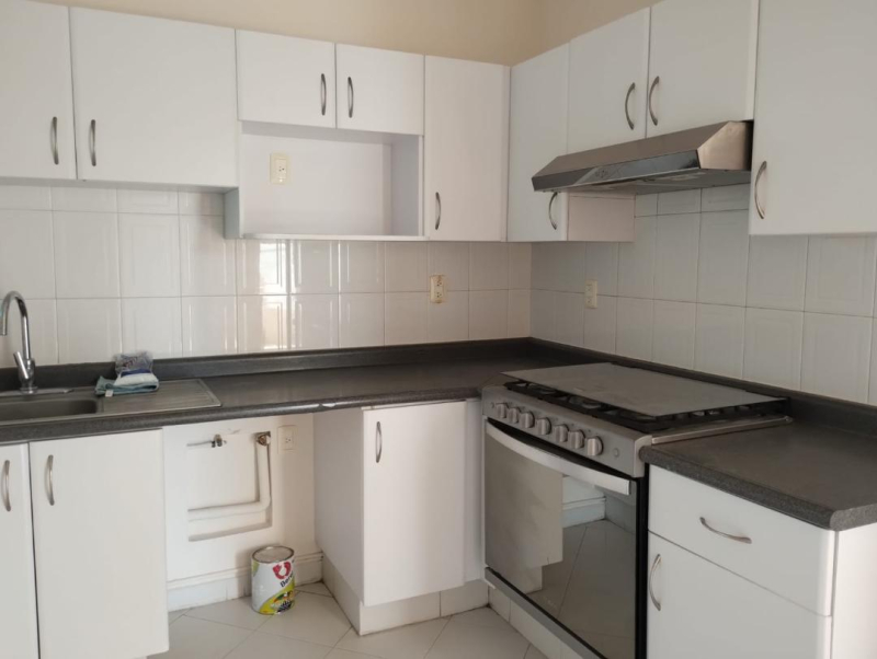 departamento en venta en ampliación palo solo