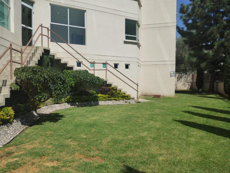 departamento en venta en ampliación palo solo