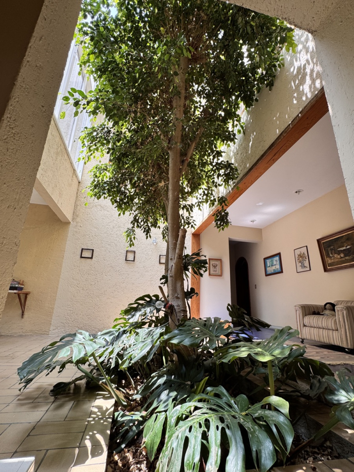 Venta casa en Bosques de las Lomas