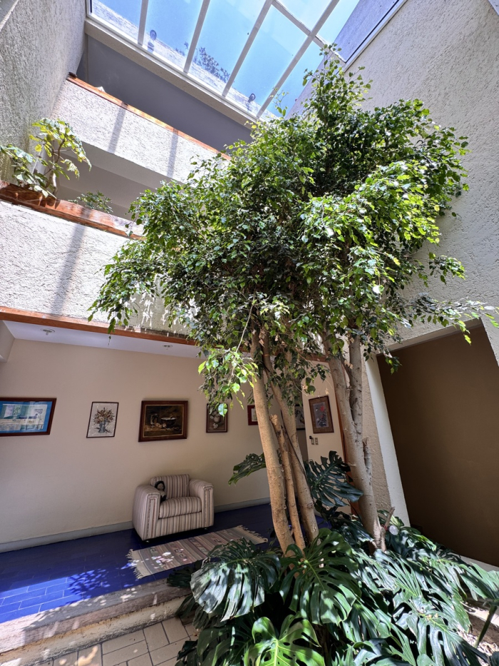 Venta casa en Bosques de las Lomas