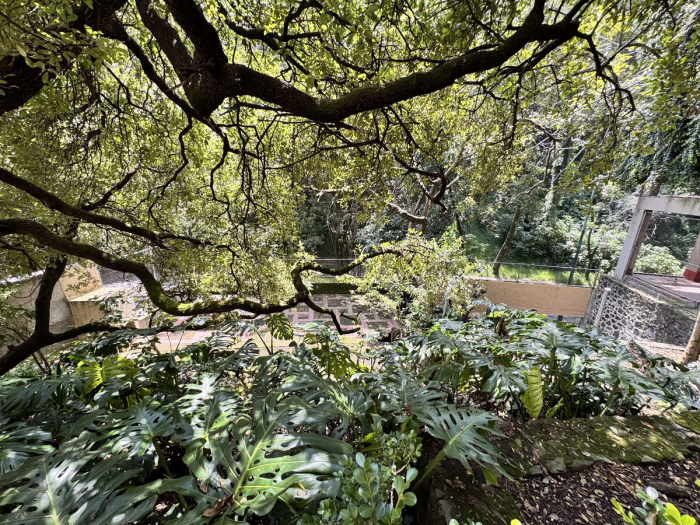 Venta casa en Bosques de las Lomas