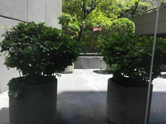 VENTA DEPARTAMENTO en SANTA FE