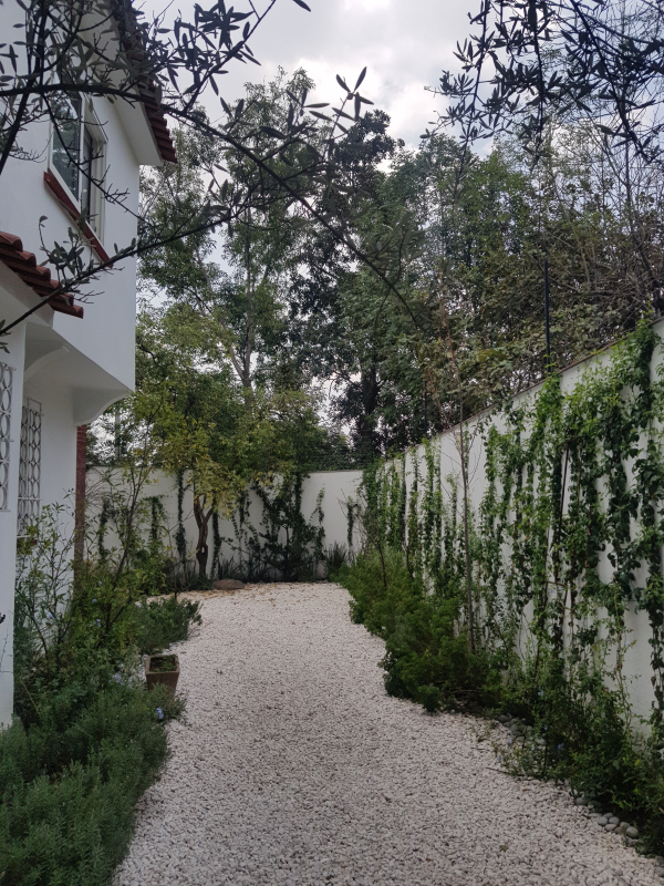 RENTA Casa Para Embajada En Lomas De Chapultepec