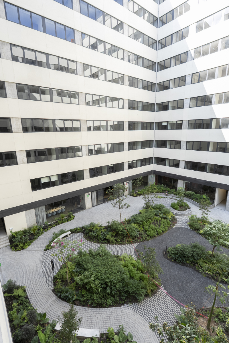 Departamento en Renta de 1 recÃ¡mara en San Rafael