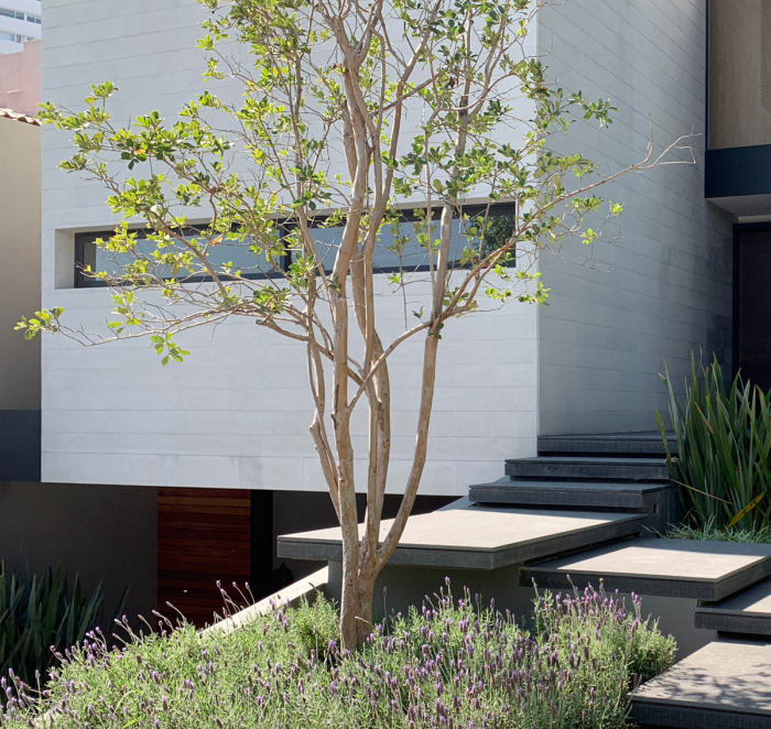 CASA, En VENTA, Av. De Los Poetas, Cumbres De Santa Fe, San Mateo Tlaltenango, Cuajimalpa