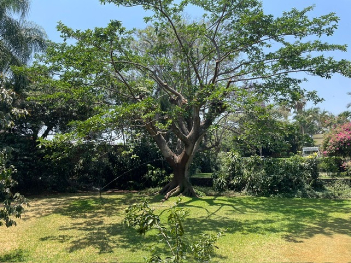 CASA, En VENTA, Manuel Altamirano, Acapatzingo, Cuernavaca, Morelos