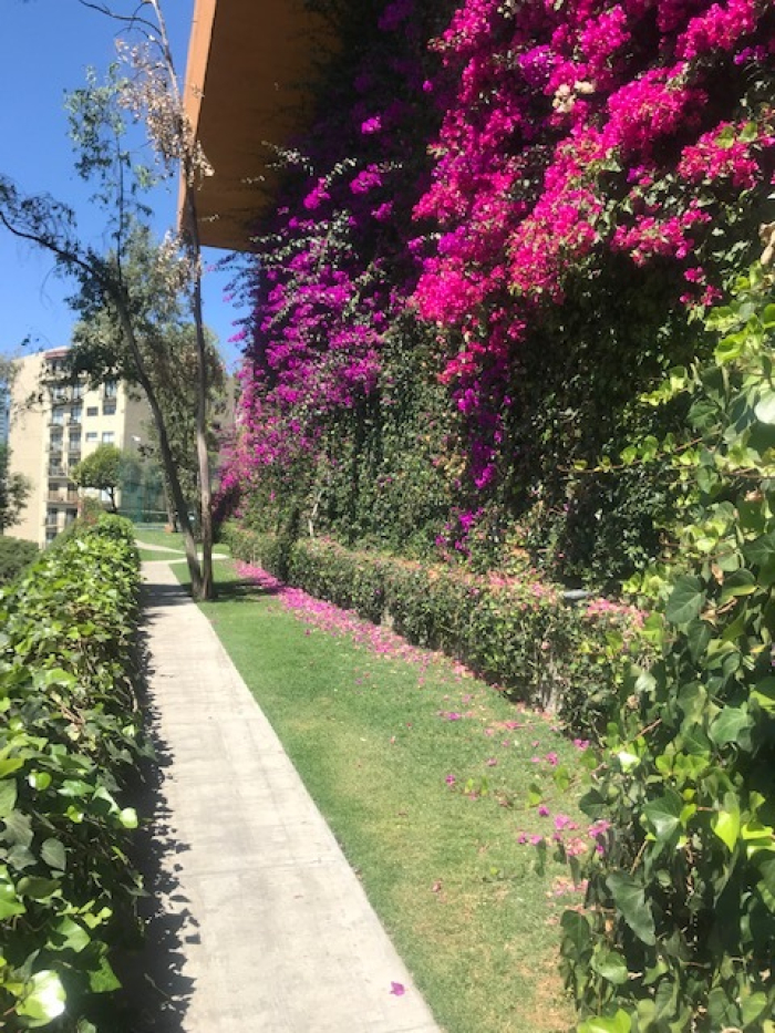 DEPARTAMENTO, en VENTA, Carretera México Toluca, 