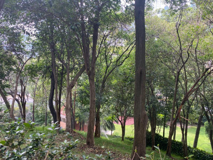 DEPARTAMENTO, en VENTA, Carretera México Toluca, 