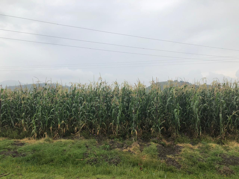 RANCHO, En VENTA, Carretera Atlacomulco El Oro Maravatio