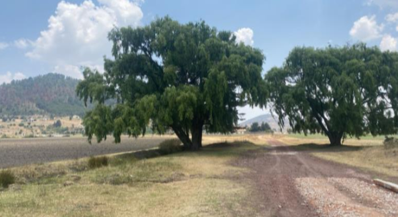 RANCHO, En VENTA, Carretera Atlacomulco El Oro Maravatio