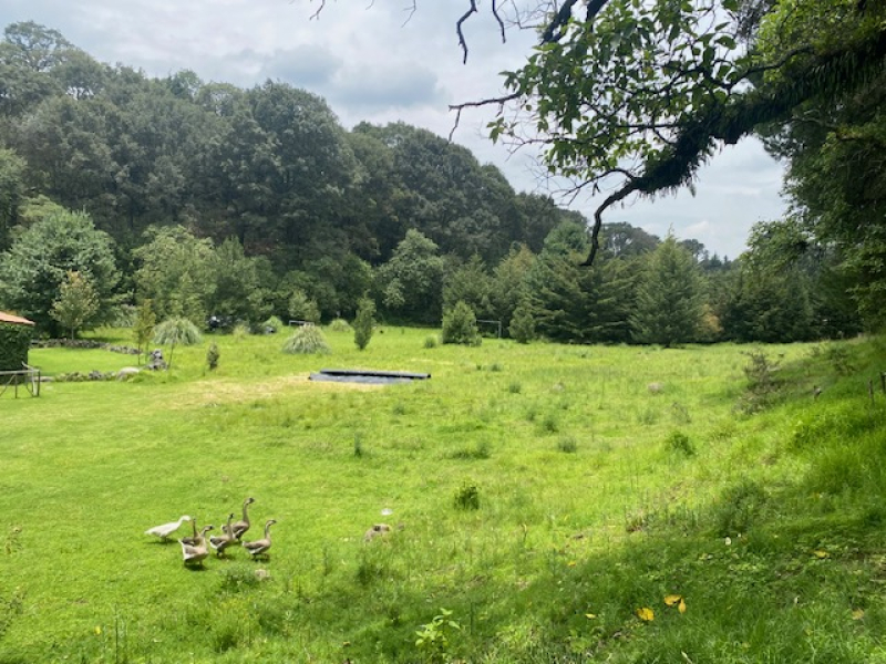 TERRENO, En VENTA, Lerma, San Miguel Ameyalco, Ocoyoacac, Edo México