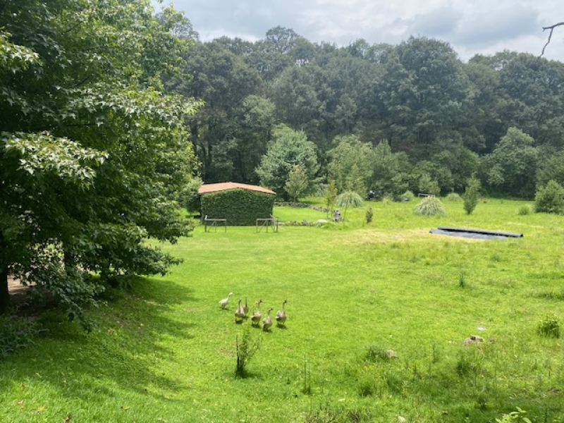 TERRENO, En VENTA, Lerma, San Miguel Ameyalco, Ocoyoacac, Edo México