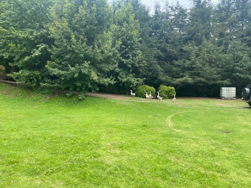 TERRENO, En VENTA, Lerma, San Miguel Ameyalco, Ocoyoacac, Edo México