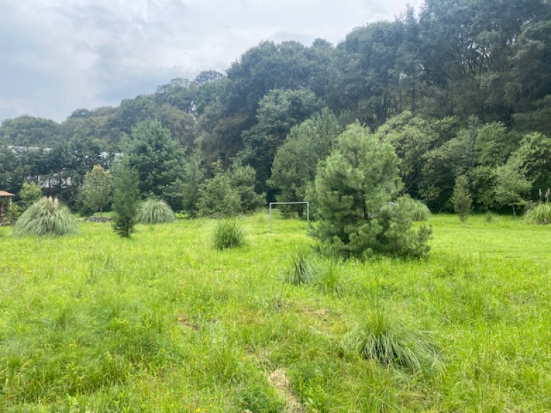 TERRENO, En VENTA, Lerma, San Miguel Ameyalco, Ocoyoacac, Edo México