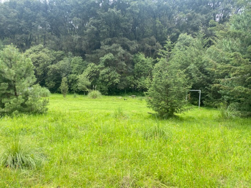 TERRENO, En VENTA, Lerma, San Miguel Ameyalco, Ocoyoacac, Edo México