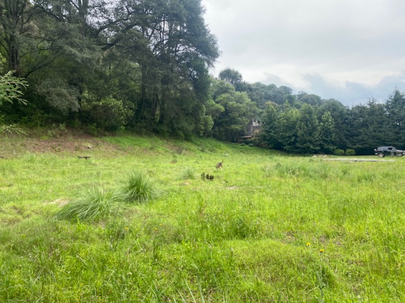 TERRENO, En VENTA, Lerma, San Miguel Ameyalco, Ocoyoacac, Edo México