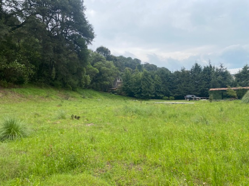 TERRENO, En VENTA, Lerma, San Miguel Ameyalco, Ocoyoacac, Edo México