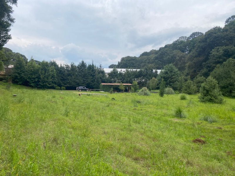 TERRENO, En VENTA, Lerma, San Miguel Ameyalco, Ocoyoacac, Edo México