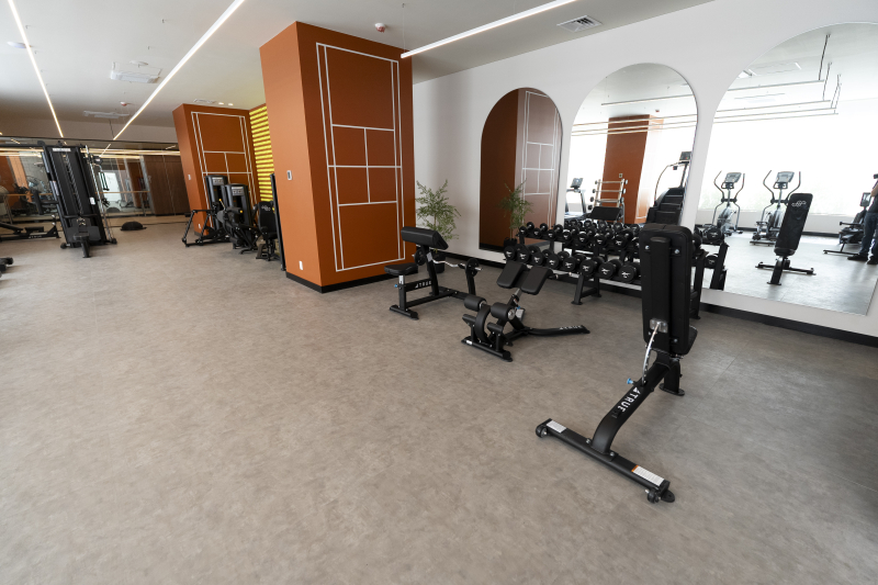 Loft En Renta En Col. San Rafael