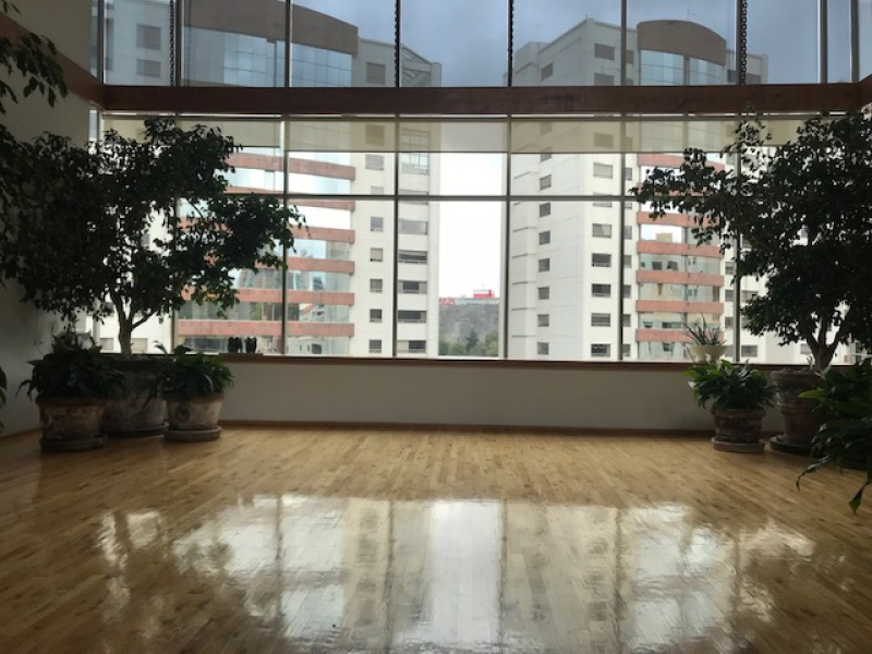 departamento, en venta, bosques de las lomas