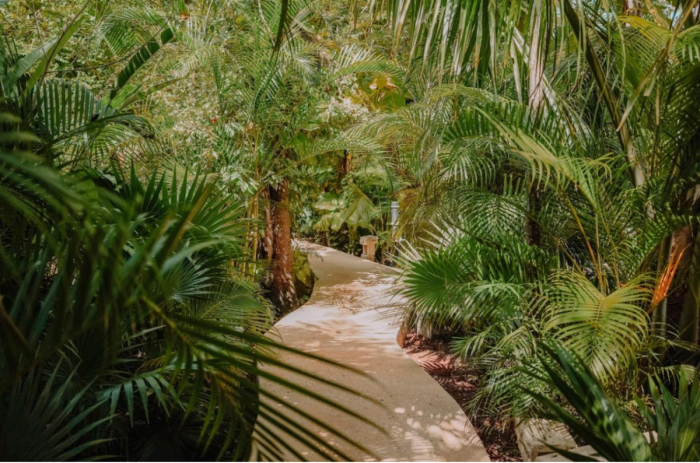 HOTEL, En VENTA, Av. Principal, Cobá, Tulum, Quintana Roo